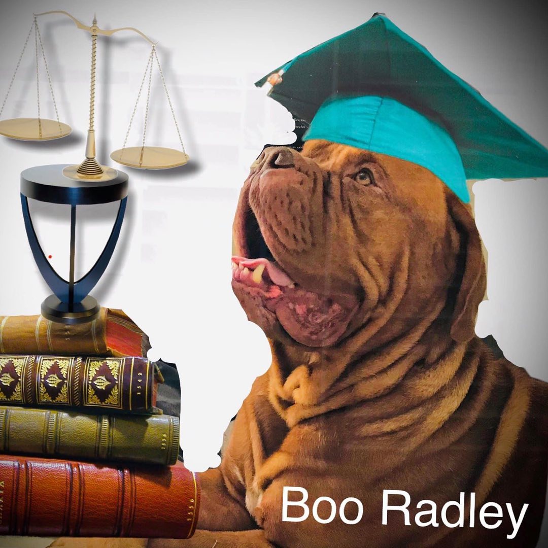 Boo Radley says that when he feels better he wants to go to law school and fight for the animals. He says he will do it Pro-Bone-o.