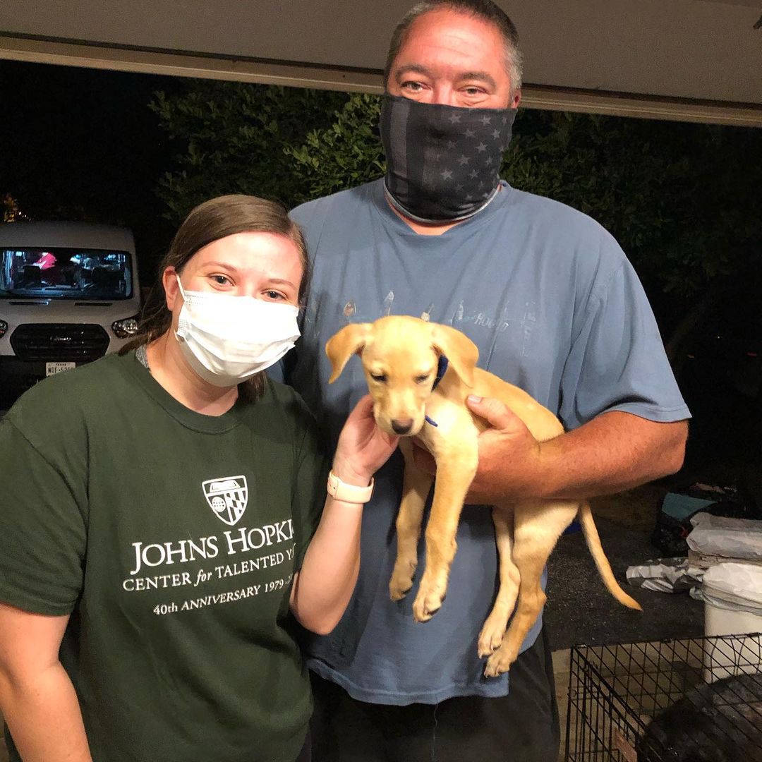Fostering Saves Lives