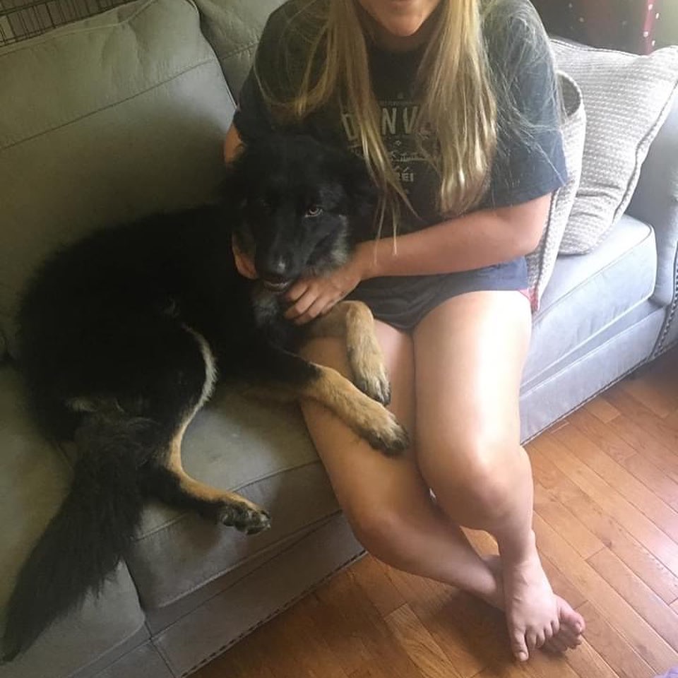 Ava’s Adopted!! She has a brother who’s a rescue too and she’s so happy to be with her new family. ￼