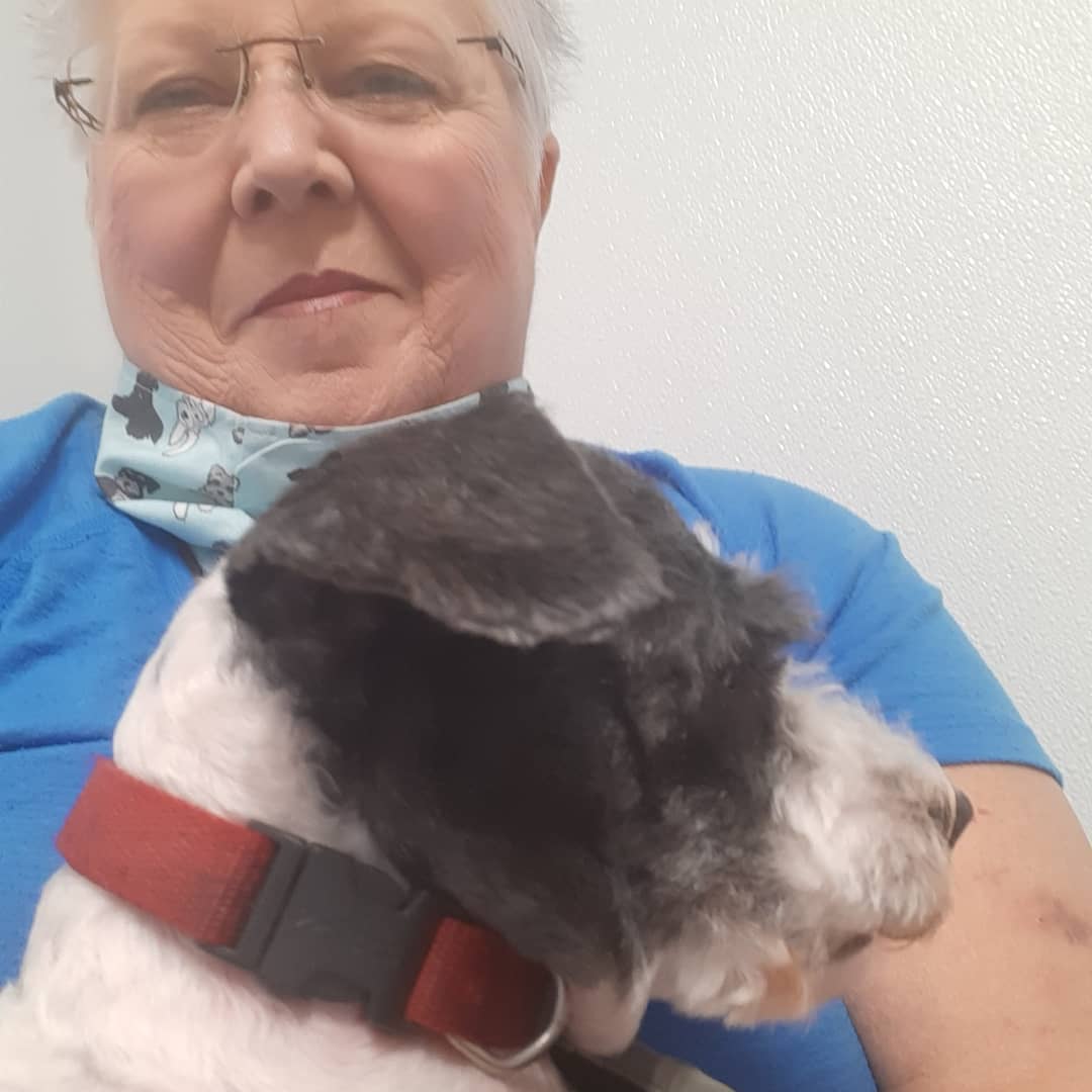 Artie/ Arthur is a 7 yr old white and black poodle mix. Hes very sweet once he gets to know you. He is house broke and loves to cuddle