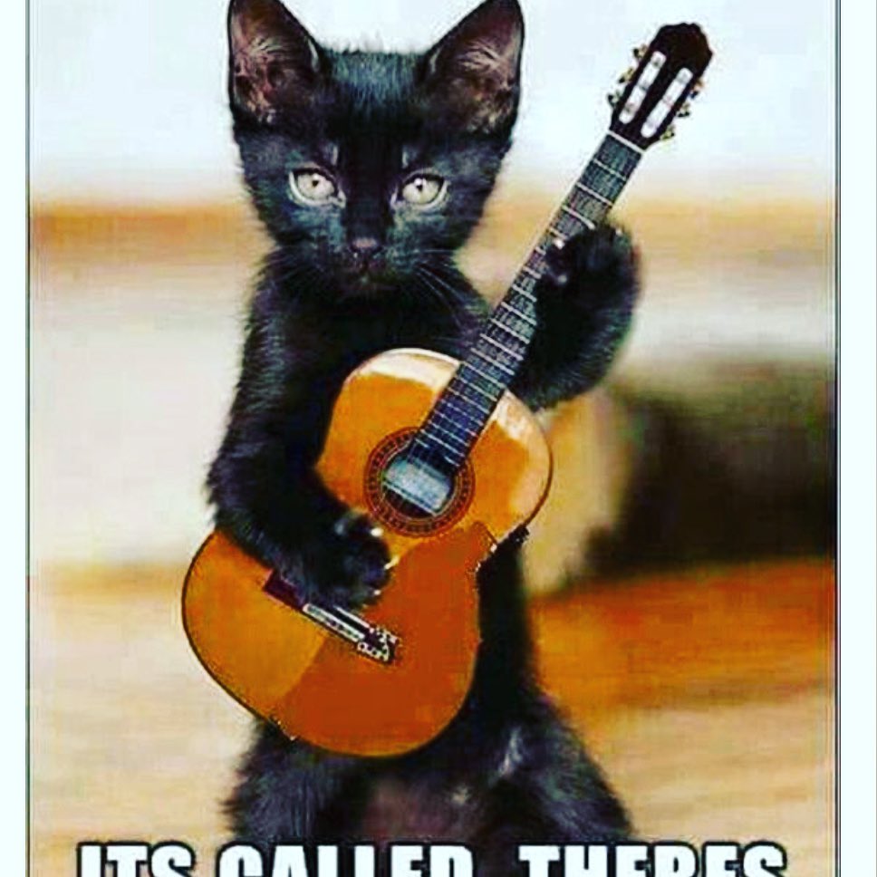 We hear this song A LOT 🙀