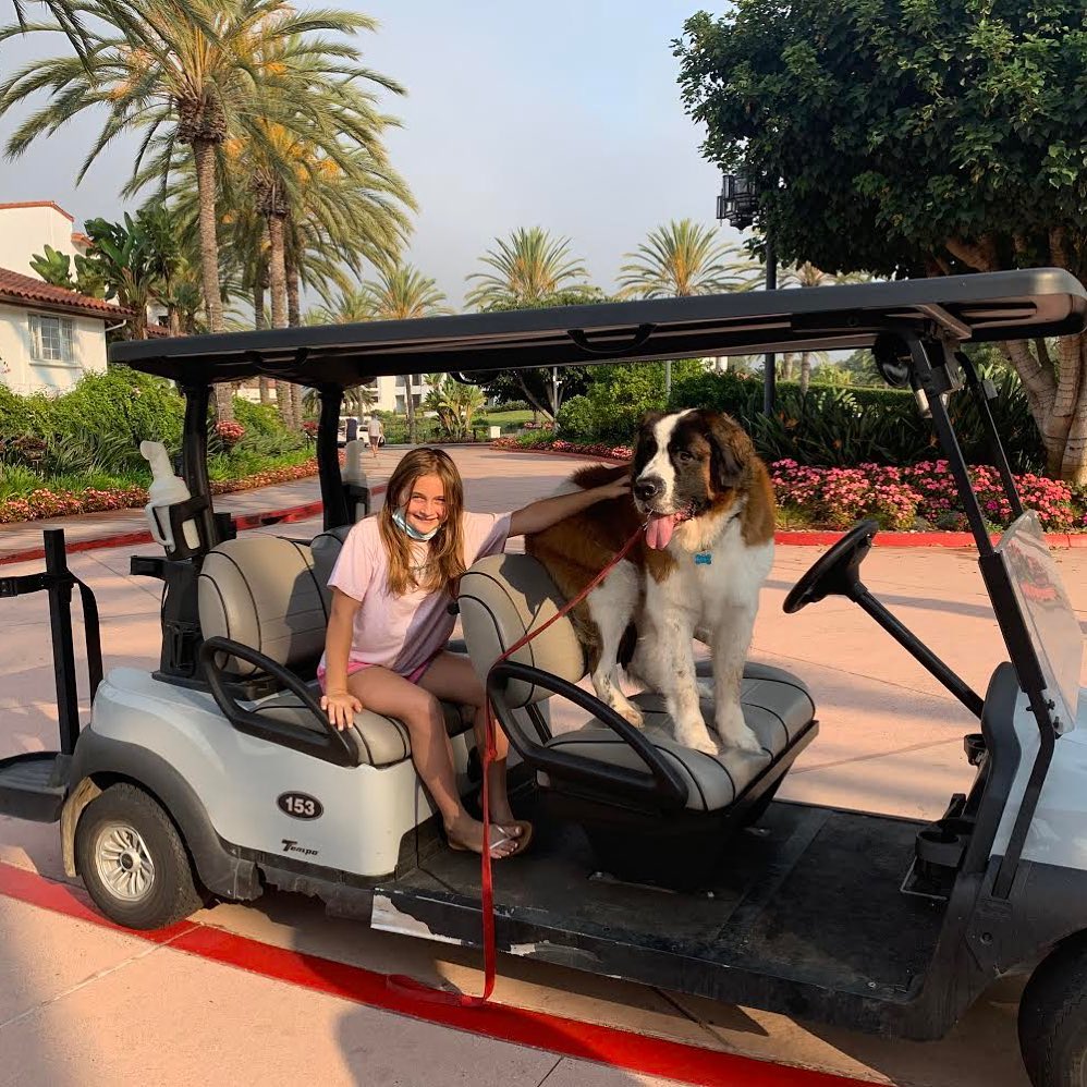 Max working on his Learner’s Permit 🤣. His new adopted family says, “Max LOVES car rides. 💕❤️ I absolutely love this dog!” Enjoy your best life Max!
