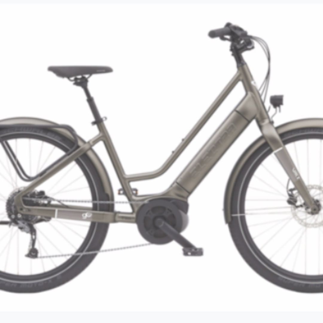 Want raffle chances for the Electric Bicycle donated by Decorah Bicycles but don't want to buy online at https://www.32auctions.com/HSNEI? Buy in person this Friday and Saturday at the following places:
Friday, Sept. 11 at Decorah Bicycles from 2-4pm
Friday, Sept. 11 at The Market at White Barns in Hawkeye, IA from 12-7pm
Saturday, Sept. 12 at Decorah Bicycles from 12-4pm
Saturday, Sept. 12 at The Market at White Barns from 9am-3pm
See the actual bike on raffle at Decorah Bicycles as well! $10 per chance, 6 for $50. Drawing is live on HSNEI's Facebook page at 1pm Monday, Sept. 14. All money goes directly to helping HSNEI's animals.

Thanks again to Platinum Sponsors: 
Bodensteiner Implement
Cresco Union Savings Bank 
Deco Products
Decorah Veterinary Clinic
Oneota Valley Family Eye Care 
Ziegler