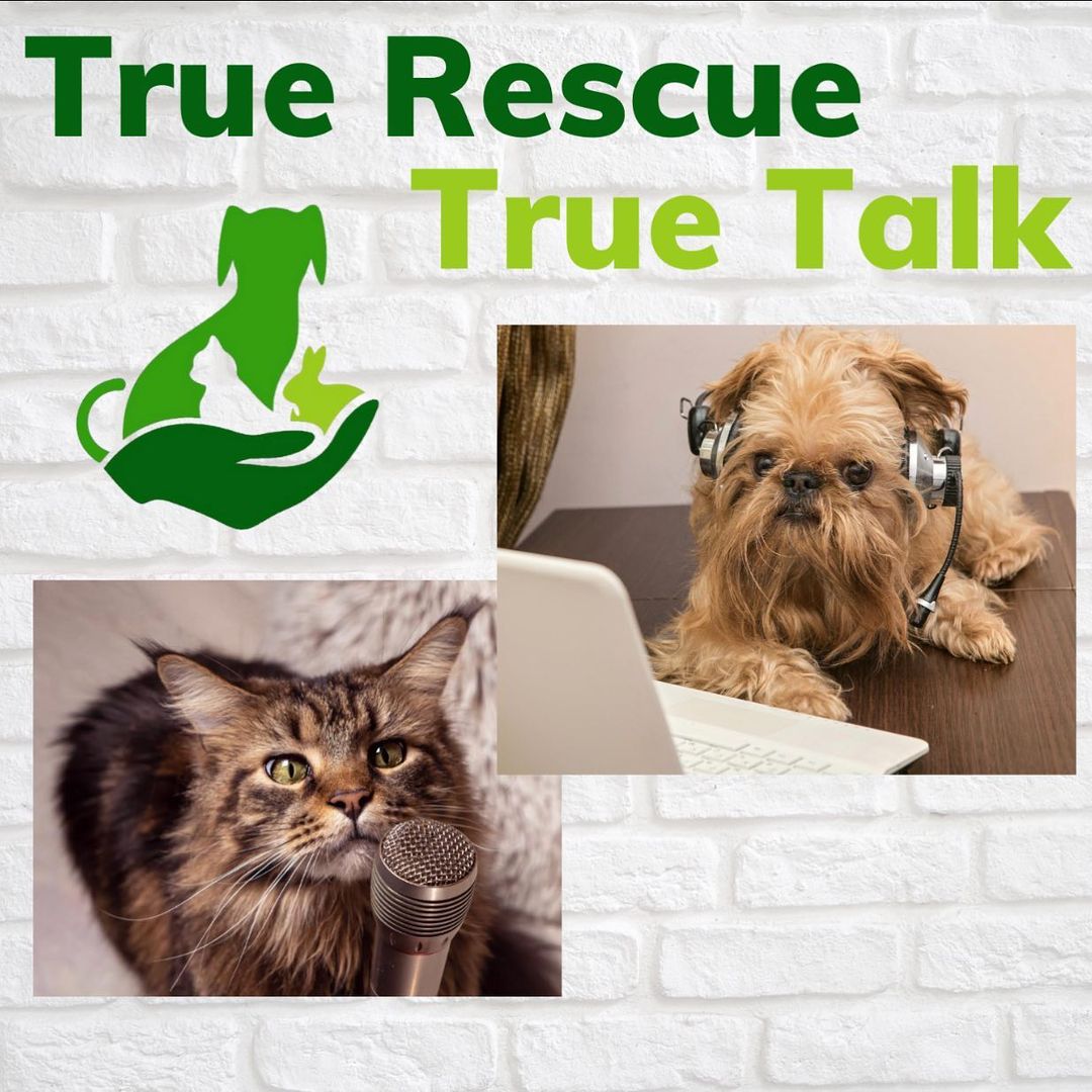 It’s LIVE Y’all!!! Our Podcast, True Rescue True Talk launched today and we couldn’t be more excited!! If you caught our Facebook launch videos than you know we like to giggle. No one ever said this is easy work, but there are times, all you can do is laugh! Come join us for a chuckle and subscribe to get notifications. Streaming on Apple Podcasts now and coming to all platforms very soon! 

<a target='_blank' href='https://www.instagram.com/explore/tags/truerescuetruetalk/'>#truerescuetruetalk</a> <a target='_blank' href='https://www.instagram.com/explore/tags/truerescue/'>#truerescue</a> #<a target='_blank' href='https://www.instagram.com/explore/tags/animallovers/'>#animallovers</a> <a target='_blank' href='https://www.instagram.com/explore/tags/animalrescue/'>#animalrescue</a>