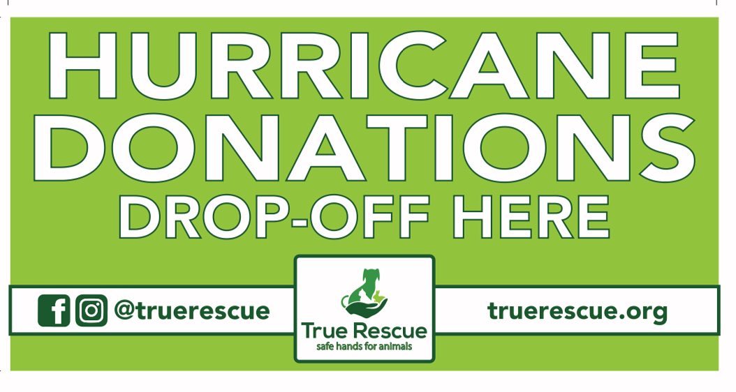 Hi, this is Amy Simcik, Executive Director of True Rescue.  Hurricane Sally is still continuing to pummel the Panhandle, which is near and dear to my heart as Pensacola is where my family is from and where I spent every summer of my life.  My mom lives there now.  This video of Rob Marciano is on Main St. in downtown Pensacola which is now underwater.  My mom's house has suffered damage, as well as two very dear rescues to me that had to evacuate animals and are now underwater.  Disaster response is a huge part of why I started True Rescue - rescues helping rescues is part of our mission statement.  We will always step up in times of disaster and help however we can. 

So we are getting a team together and heading there to help with cleanup, deliver supplies, and transporting animals.  We need your help!  Once again, we will be collecting animal supplies to take down there.  We will post soon about where to drop items off, and will get even more specific, but the current needs are tarps, wet and dry cat/dog food, dog and cat carriers and chicken feed.  If you would rather donate monetarily, please send donations to truerescue.org/donate and make sure you comment that donations are to go towards hurricane relief.  You can also purchase e-gift cards from Petsmart or Chewy and have them sent to our email at admin@truerescue.org, and we will purchase items on your behalf to take with us. 

We are a small but mighty-growing group, and 100% of any proceeds we receive for disaster efforts will go directly towards that effort.  Thank you for your support! 

<a target='_blank' href='https://www.instagram.com/explore/tags/hurricanesally/'>#hurricanesally</a> 
<a target='_blank' href='https://www.instagram.com/explore/tags/hurricanerelief/'>#hurricanerelief</a>
<a target='_blank' href='https://www.instagram.com/explore/tags/truerescue/'>#truerescue</a>