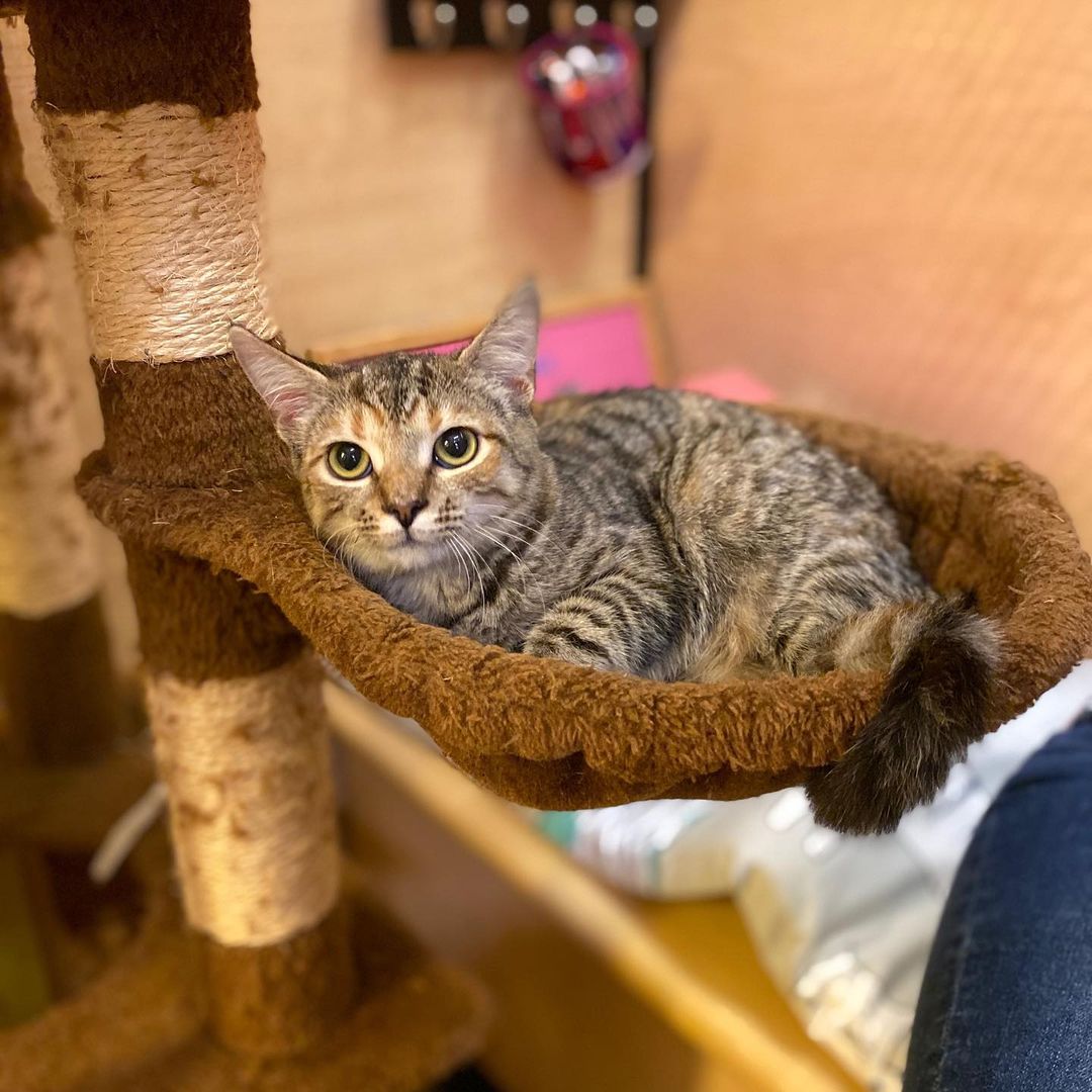 Look at those eyes! Photogenic Leony (5 mos.) wants to join your family photos!