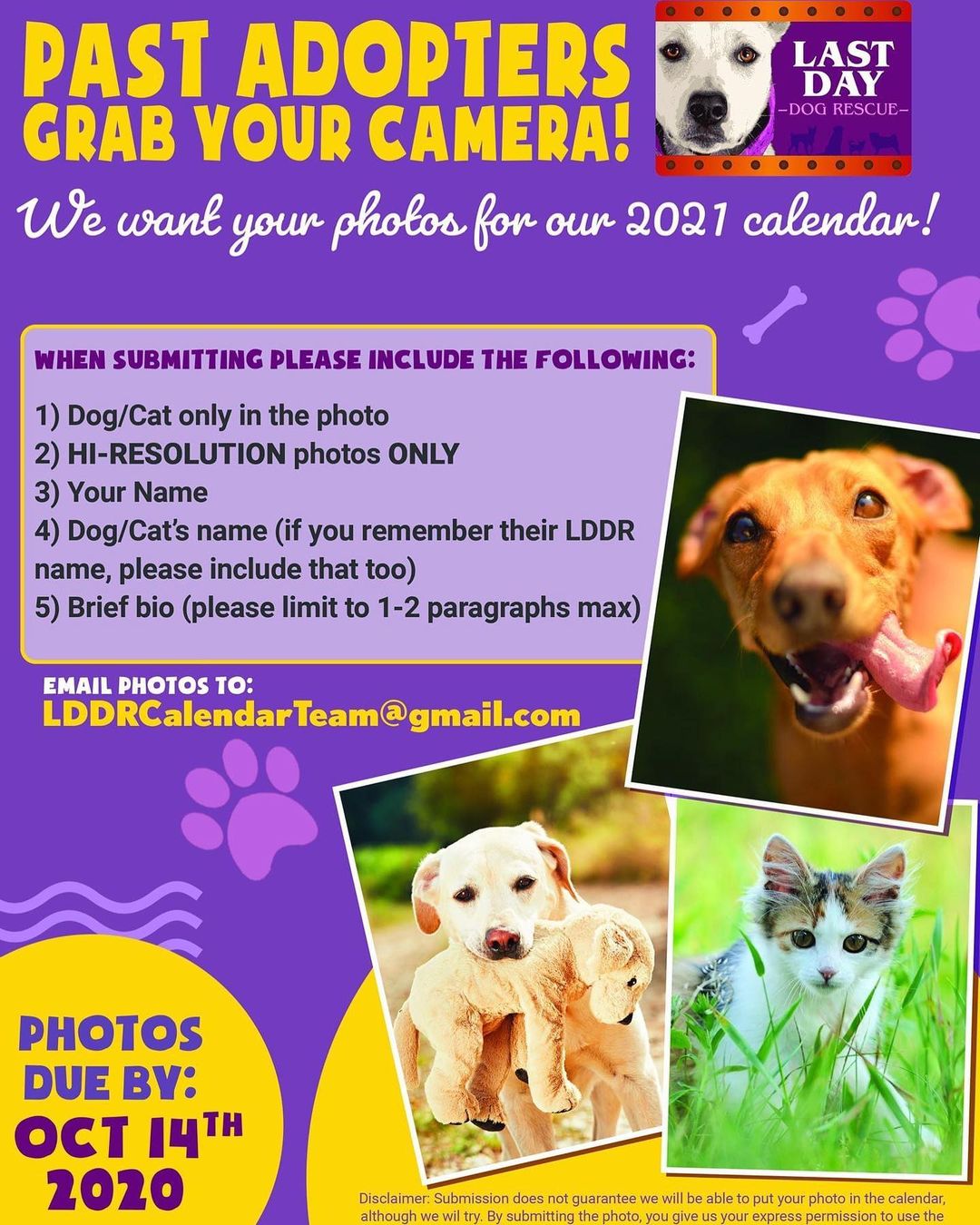 We are creating our 2021 calendar and would love to include some photos of our adopted pets! 

We can't guarantee all submissions will get included in the calendar, but we hope to make your 2021 year brighter by the photos selected for each month! 🐶❤️