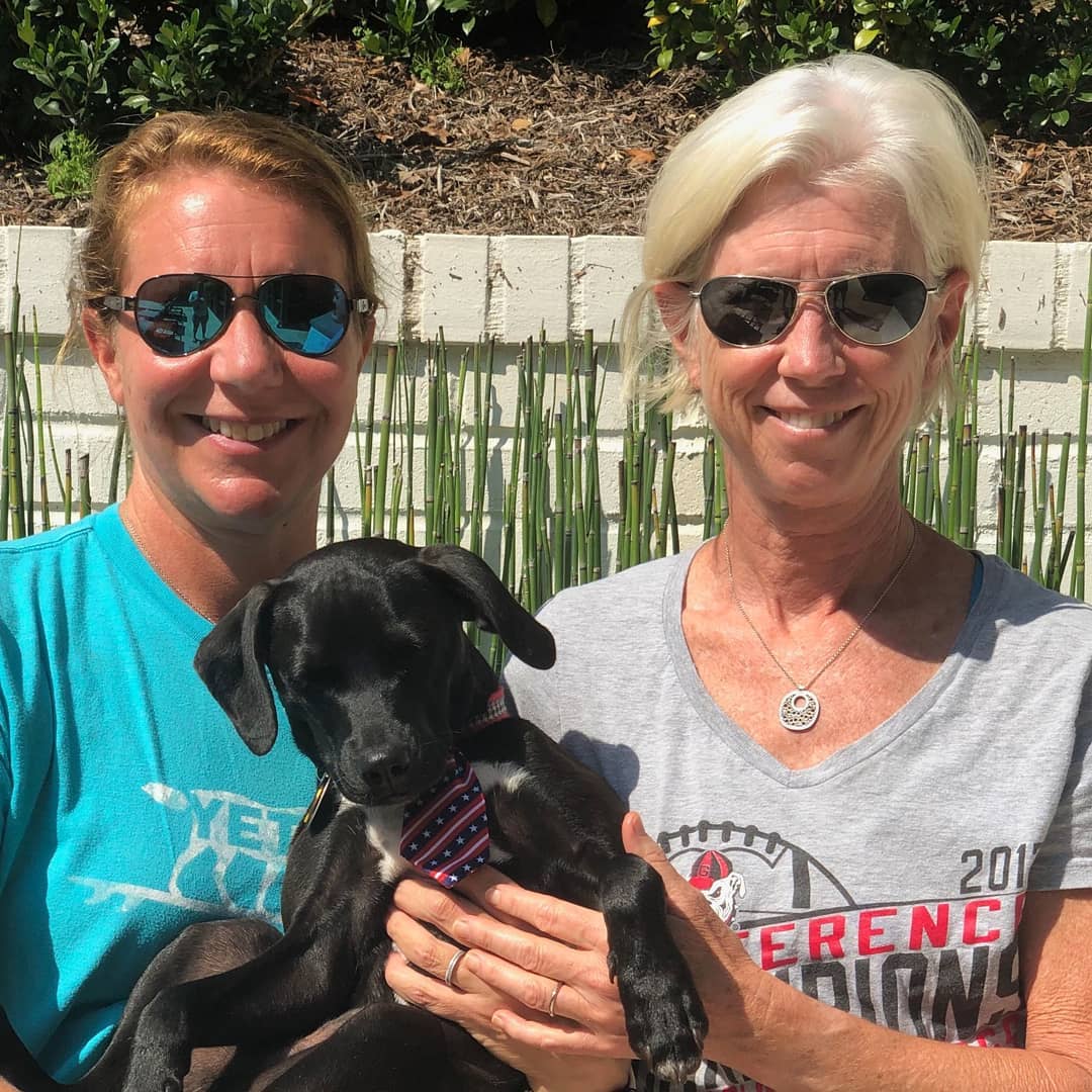 What could make us happier than rescuing dogs in need??? Adopting them to loving homes...in this case, 3 amazing local homes for Clyde, Frazier and Sunshine💖🐾