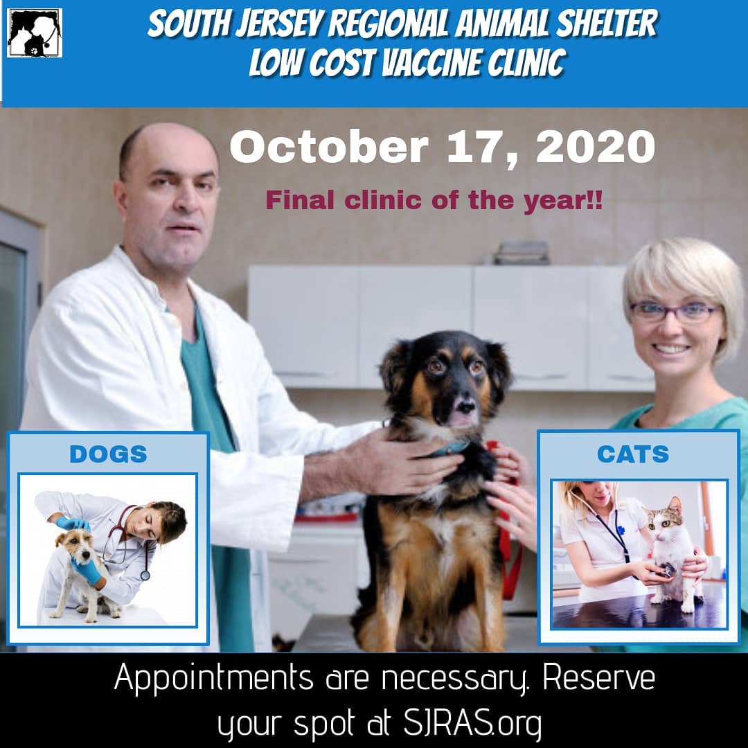 It's that time of year again... this Saturday will be our final vaccine clinic! Don't miss this opportunity to have your pets updated on shots while staying on budget. Appointments are required - simply visit http://SJRAS.org to book an appointment for a virtually contactless experience. Vaccines are only $15, Microchips are $40 (includes lifetime registration). <a target='_blank' href='https://www.instagram.com/explore/tags/vaccinateyourpets/'>#vaccinateyourpets</a> <a target='_blank' href='https://www.instagram.com/explore/tags/vaccineclinicforpets/'>#vaccineclinicforpets</a> <a target='_blank' href='https://www.instagram.com/explore/tags/SJRAS_Vineland/'>#SJRAS_Vineland</a> <a target='_blank' href='https://www.instagram.com/explore/tags/healthypets/'>#healthypets</a> <a target='_blank' href='https://www.instagram.com/explore/tags/vaccinesareimportant/'>#vaccinesareimportant</a> <a target='_blank' href='https://www.instagram.com/explore/tags/lowcost/'>#lowcost</a> <a target='_blank' href='https://www.instagram.com/explore/tags/easypeasy/'>#easypeasy</a> <a target='_blank' href='https://www.instagram.com/explore/tags/dogsofsouthjersey/'>#dogsofsouthjersey</a> <a target='_blank' href='https://www.instagram.com/explore/tags/catsofsouthjersey/'>#catsofsouthjersey</a> <a target='_blank' href='https://www.instagram.com/explore/tags/cumberlandcountynj/'>#cumberlandcountynj</a> <a target='_blank' href='https://www.instagram.com/explore/tags/salemcountynj/'>#salemcountynj</a> <a target='_blank' href='https://www.instagram.com/explore/tags/gloucestercountynj/'>#gloucestercountynj</a> <a target='_blank' href='https://www.instagram.com/explore/tags/atlanticcountynj/'>#atlanticcountynj</a>