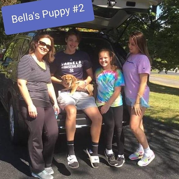 Six more happy endings for pups from our September transport.  Sweet Alma is a 15 year old girl who was abandoned by her former owners in Metro Atlanta but she is livin' the life with her new Mom and Dad in NH💖 Happy life sweet babies💖🐾