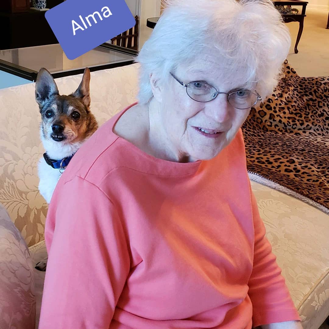 Six more happy endings for pups from our September transport.  Sweet Alma is a 15 year old girl who was abandoned by her former owners in Metro Atlanta but she is livin' the life with her new Mom and Dad in NH💖 Happy life sweet babies💖🐾