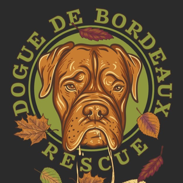 It’s fall, cozy up with a Dogue de Bordeaux Rescue hoodie. 
https://www.bonfire.com/fall-fundraiser-2020/