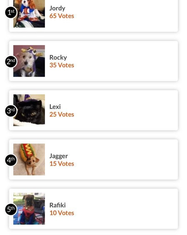 Jordy is in the lead!!! With Rocky 2nd and Lexi 3rd!!!

Get you’re pictures in and you’re voted cast!!!!

https://www.gogophotocontest.com/savingallpaws