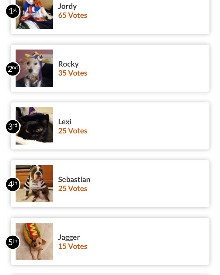 Jordy, Rocky and Lexi are in the lead!!!

Enter your photo today and vote vote vote!!!

https://www.gogophotocontest.com/savingallpaws