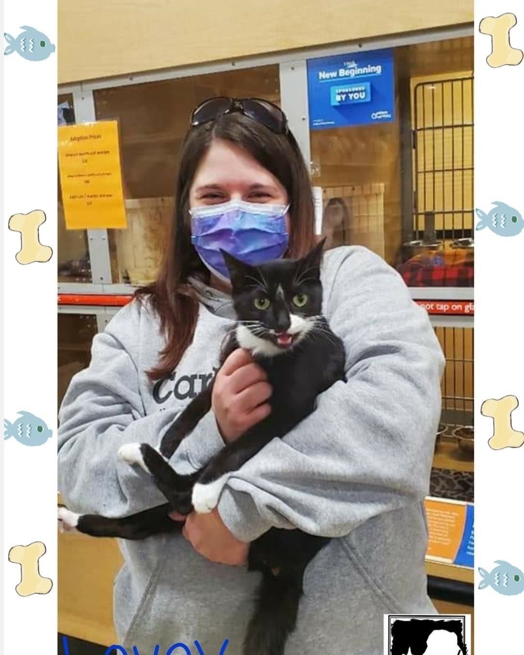 Would you just look at how happy LOVEY was about getting adopted! 😸 These are just a few of the 10 wonderful cat & kitten adoptions yesterday at our Millville Petsmart Adoption Center. We'll be there again today from noon until 2pm if you want to stop in & see us! Special reduced adoption fees still in effect! 🐈🐾🐈‍⬛ <a target='_blank' href='https://www.instagram.com/explore/tags/PicMe/'>#PicMe</a> <a target='_blank' href='https://www.instagram.com/explore/tags/adopted/'>#adopted</a> <a target='_blank' href='https://www.instagram.com/explore/tags/iadopted/'>#iadopted</a> <a target='_blank' href='https://www.instagram.com/explore/tags/outtahere/'>#outtahere</a> <a target='_blank' href='https://www.instagram.com/explore/tags/Happytails/'>#Happytails</a>