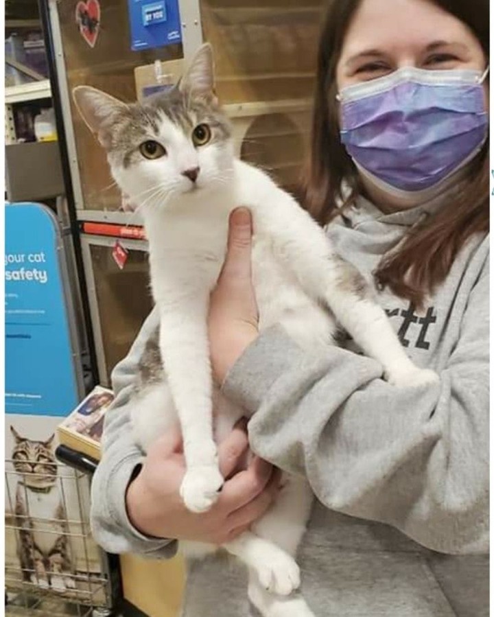 Would you just look at how happy LOVEY was about getting adopted! 😸 These are just a few of the 10 wonderful cat & kitten adoptions yesterday at our Millville Petsmart Adoption Center. We'll be there again today from noon until 2pm if you want to stop in & see us! Special reduced adoption fees still in effect! 🐈🐾🐈‍⬛ <a target='_blank' href='https://www.instagram.com/explore/tags/PicMe/'>#PicMe</a> <a target='_blank' href='https://www.instagram.com/explore/tags/adopted/'>#adopted</a> <a target='_blank' href='https://www.instagram.com/explore/tags/iadopted/'>#iadopted</a> <a target='_blank' href='https://www.instagram.com/explore/tags/outtahere/'>#outtahere</a> <a target='_blank' href='https://www.instagram.com/explore/tags/Happytails/'>#Happytails</a>