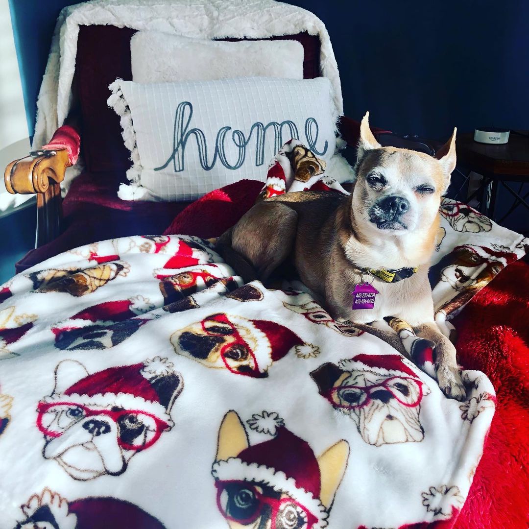 Herman says Happy Monday!