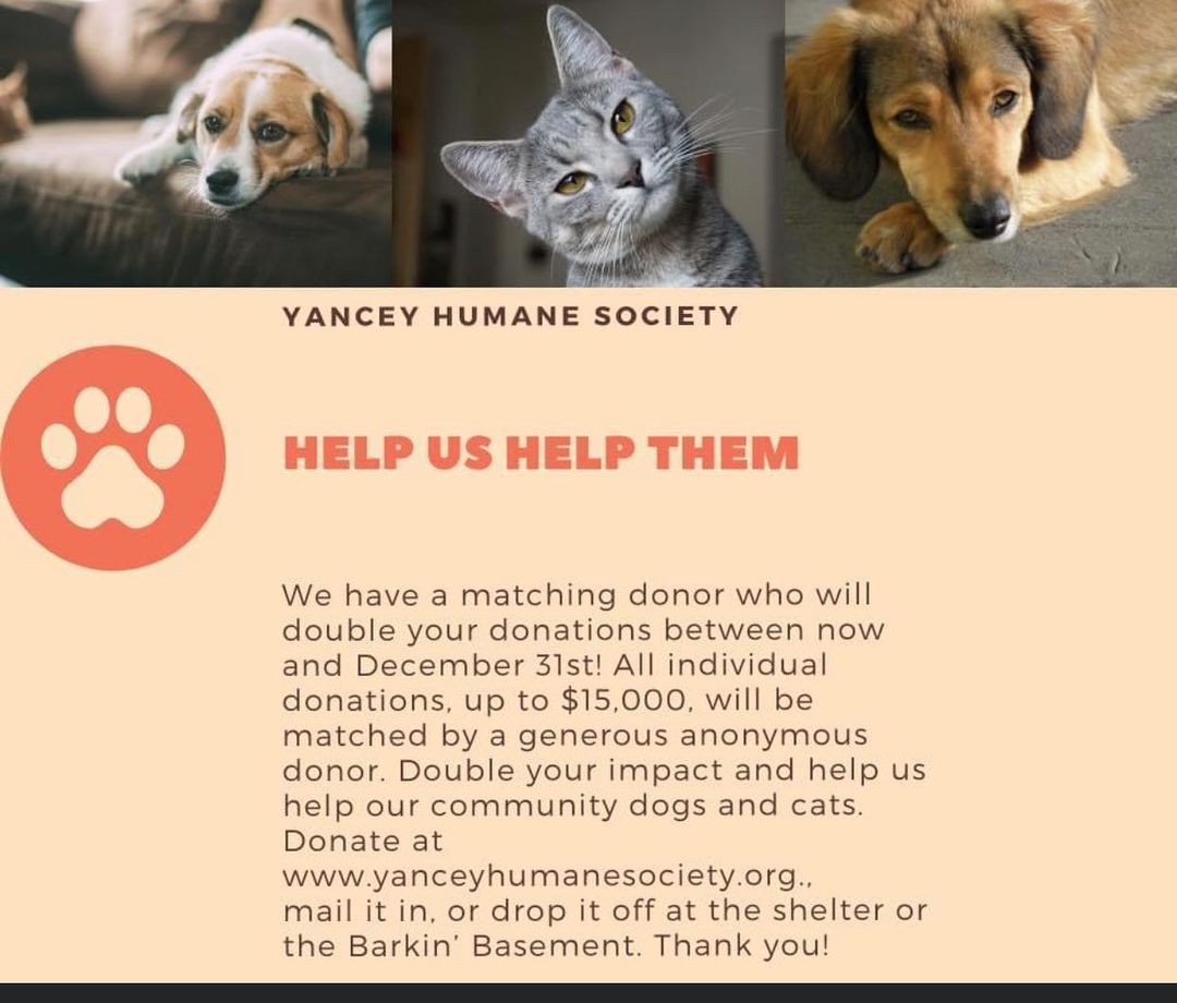 All you need to do is click here paypal.me/yanceyhumane and you can quickly contribute to this campaign !
A generous donor will match every dollar donated up to 15K!!! Help us , along with our generous donor, to make this the best holiday season for our shelter animals ever !