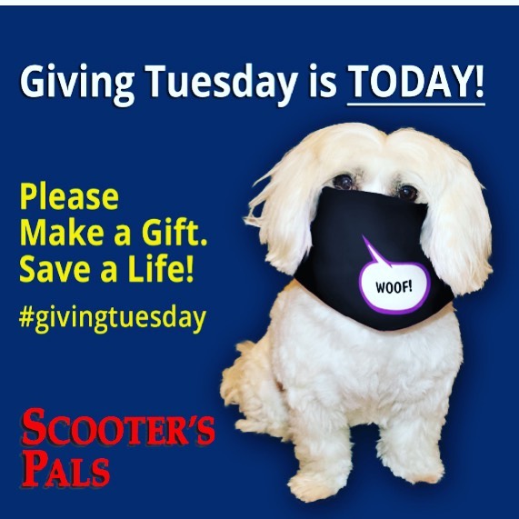 Morning! The big day is here!!! Thank you for considering donating to care for the pups we rescue-we could not do this without YOU❤️🐾🐾 URL to donate https://scooterspals.networkforgood.com/projects/116037
<a target='_blank' href='https://www.instagram.com/explore/tags/givingtuesday/'>#givingtuesday</a> <a target='_blank' href='https://www.instagram.com/explore/tags/grassvalleyca/'>#grassvalleyca</a> <a target='_blank' href='https://www.instagram.com/explore/tags/grassvalley/'>#grassvalley</a> <a target='_blank' href='https://www.instagram.com/explore/tags/nevadacity/'>#nevadacity</a> <a target='_blank' href='https://www.instagram.com/explore/tags/nevadacityca/'>#nevadacityca</a> <a target='_blank' href='https://www.instagram.com/explore/tags/pennvalleyca/'>#pennvalleyca</a> <a target='_blank' href='https://www.instagram.com/explore/tags/altasierra/'>#altasierra</a> <a target='_blank' href='https://www.instagram.com/explore/tags/lakewildwood/'>#lakewildwood</a> <a target='_blank' href='https://www.instagram.com/explore/tags/lakeofthepines/'>#lakeofthepines</a> <a target='_blank' href='https://www.instagram.com/explore/tags/northsanjuan/'>#northsanjuan</a> <a target='_blank' href='https://www.instagram.com/explore/tags/auburnca/'>#auburnca</a> <a target='_blank' href='https://www.instagram.com/explore/tags/colfaxca/'>#colfaxca</a> <a target='_blank' href='https://www.instagram.com/explore/tags/rosevilleca/'>#rosevilleca</a>