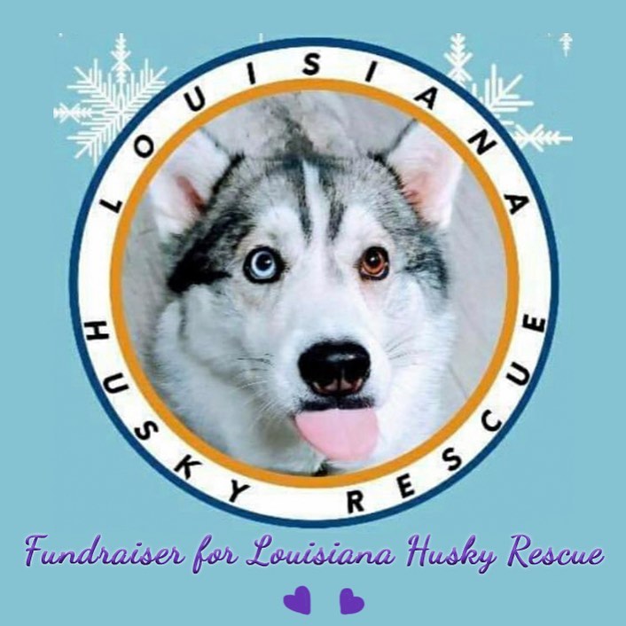 🎈Today is the last day to support Louisiana Huskies with Holiday card shopping! These are available at the Malamute store (link in bio) and helps the Mals too! 💌🎄💝🎈🎁
.
.
<a target='_blank' href='https://www.instagram.com/explore/tags/louisianagirl/'>#louisianagirl</a> <a target='_blank' href='https://www.instagram.com/explore/tags/dogmomlife/'>#dogmomlife</a> <a target='_blank' href='https://www.instagram.com/explore/tags/dogfamily/'>#dogfamily</a> <a target='_blank' href='https://www.instagram.com/explore/tags/2020christmas/'>#2020christmas</a> <a target='_blank' href='https://www.instagram.com/explore/tags/christmasphotoshoot/'>#christmasphotoshoot</a> <a target='_blank' href='https://www.instagram.com/explore/tags/sleddogs/'>#sleddogs</a> <a target='_blank' href='https://www.instagram.com/explore/tags/huskylife/'>#huskylife</a> <a target='_blank' href='https://www.instagram.com/explore/tags/huskynation/'>#huskynation</a> <a target='_blank' href='https://www.instagram.com/explore/tags/huskyphotography/'>#huskyphotography</a> <a target='_blank' href='https://www.instagram.com/explore/tags/rescuedog/'>#rescuedog</a> <a target='_blank' href='https://www.instagram.com/explore/tags/christmascookies/'>#christmascookies</a>