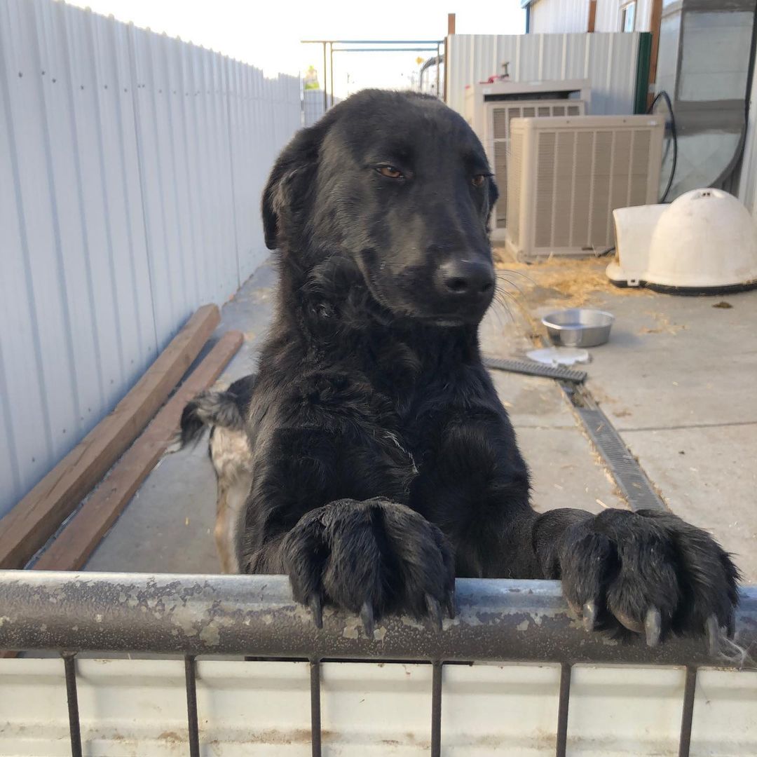 Lookin’ over the neighbor’s fence like...