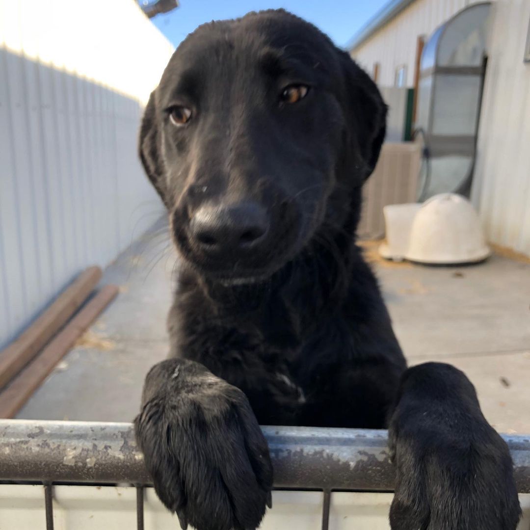 Lookin’ over the neighbor’s fence like...