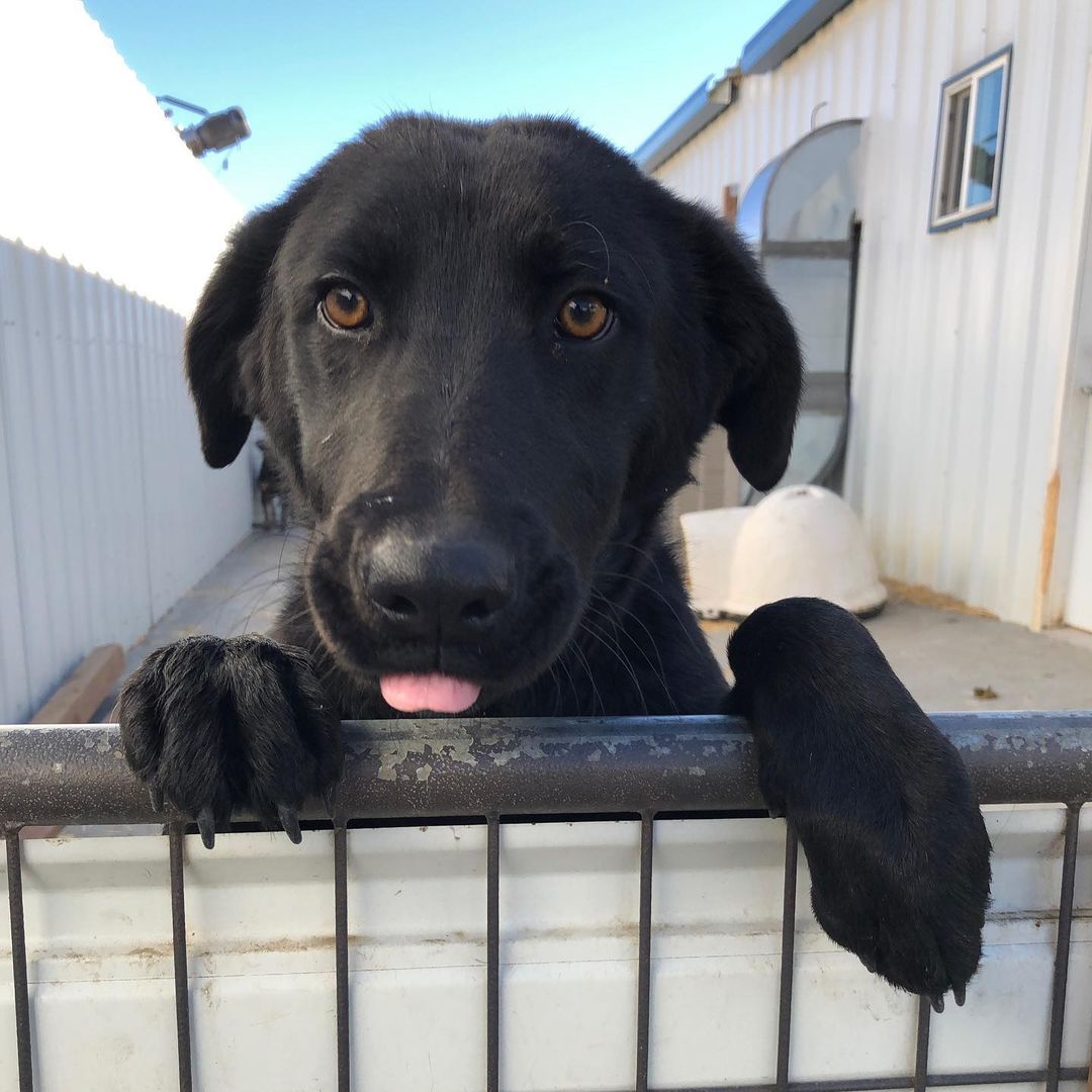 Lookin’ over the neighbor’s fence like...