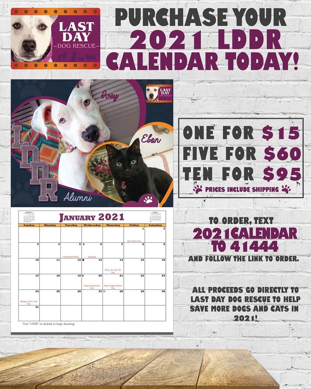 Ring in 2021 with cute dogs and cats 🐶🤍😽

To order yours text '2021calendar' to 41444
or visit: igfn.us/f/34n6/n
.
.
.
<a target='_blank' href='https://www.instagram.com/explore/tags/lastdaydogs/'>#lastdaydogs</a> <a target='_blank' href='https://www.instagram.com/explore/tags/lastdaydogrescue/'>#lastdaydogrescue</a> <a target='_blank' href='https://www.instagram.com/explore/tags/adoptdontshop/'>#adoptdontshop</a> <a target='_blank' href='https://www.instagram.com/explore/tags/2021calendar/'>#2021calendar</a> <a target='_blank' href='https://www.instagram.com/explore/tags/dogs/'>#dogs</a> <a target='_blank' href='https://www.instagram.com/explore/tags/cats/'>#cats</a>