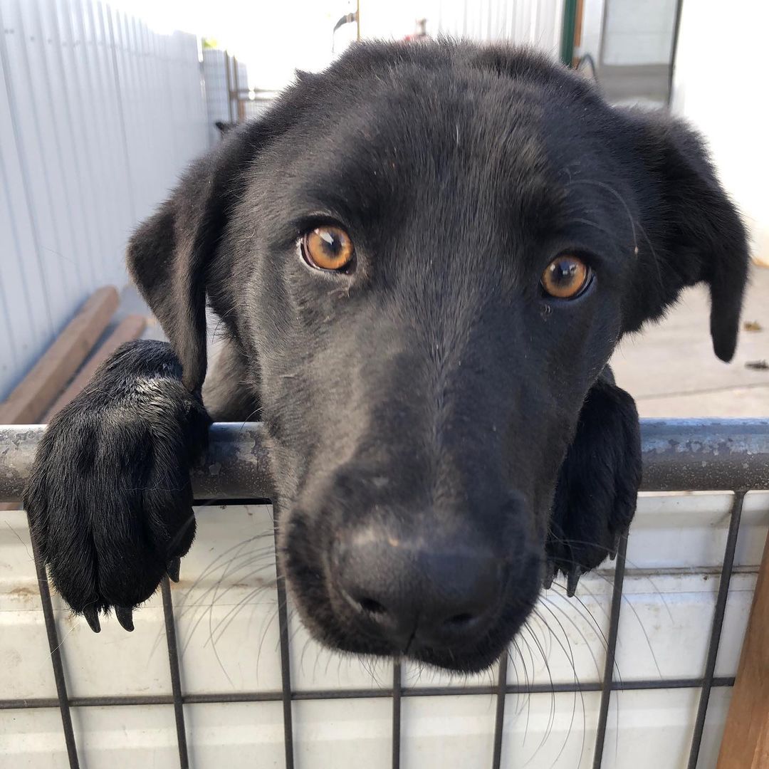 Lookin’ over the neighbor’s fence like...