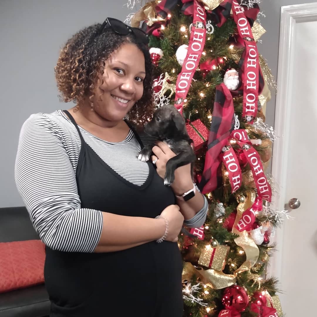 What a day we've had!!! NINE adoptions this morning!! That is NINE animals that have a home for the holidays! They will never again know hunger, loneliness, abandonment, or fear! We are so happy for these babies and their new families! (Tiger pictured with his awesome foster mom because his new mom preferred it!)
.
Thank you all for trusting us and choosing to adopt from our organization. Faces like this are why we do what we do!! Everyone is smiling, happy, and ready to get their babies home! ❤️
.
Happy Tails, kiddos!! We love you, and we can't wait to see you blossom and grow into your new roles in your families!
.
<a target='_blank' href='https://www.instagram.com/explore/tags/adoptdontshop/'>#adoptdontshop</a> <a target='_blank' href='https://www.instagram.com/explore/tags/fureverhomenc/'>#fureverhomenc</a> <a target='_blank' href='https://www.instagram.com/explore/tags/rescuedisourfavoritebreed/'>#rescuedisourfavoritebreed</a> <a target='_blank' href='https://www.instagram.com/explore/tags/rescueloverepeat/'>#rescueloverepeat</a> <a target='_blank' href='https://www.instagram.com/explore/tags/loveisafourleggedword/'>#loveisafourleggedword</a>🐾