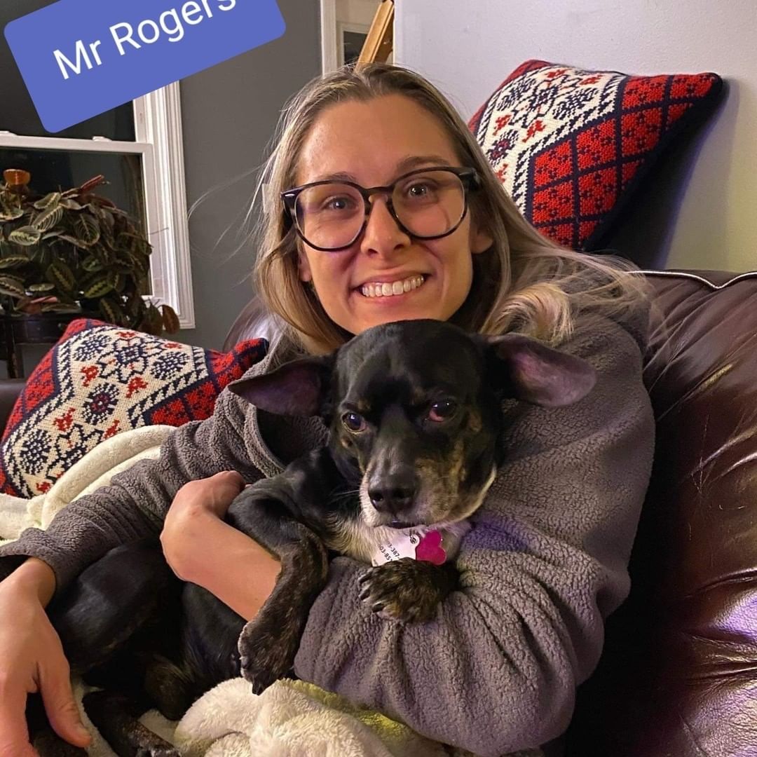 We work with some amazing rescues in the northeast and have a heartwarming Christmas adoption from one of our NH partners❤  Mr Roger's was found by one of our fosters here in GA as a stray in her neighborhood. Poor guy was trying to find food in the garbage😞 Mr Roger's was an elderly pup at 10 years with some arthritis, hair loss and a substantial heart murmur.  That didn't phase our NH friends and this little guy headed up on our December transport. Mr Roger's, now known as Douglas was snapped up by a loving family in a heartbeat and is now being spoiled rotten with love❤ We all need a little feel good this year and I hope this Merry Christmas Tail will warm your heart just a bit🎄🐾💜 PS Thank you to the moon and back Patrice Fotino☺