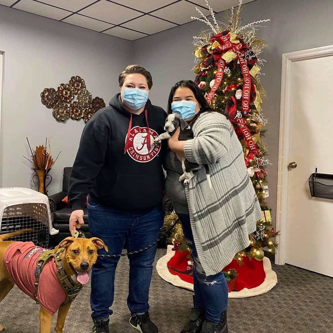 What a day we've had!!! NINE adoptions this morning!! That is NINE animals that have a home for the holidays! They will never again know hunger, loneliness, abandonment, or fear! We are so happy for these babies and their new families! (Tiger pictured with his awesome foster mom because his new mom preferred it!)
.
Thank you all for trusting us and choosing to adopt from our organization. Faces like this are why we do what we do!! Everyone is smiling, happy, and ready to get their babies home! ❤️
.
Happy Tails, kiddos!! We love you, and we can't wait to see you blossom and grow into your new roles in your families!
.
<a target='_blank' href='https://www.instagram.com/explore/tags/adoptdontshop/'>#adoptdontshop</a> <a target='_blank' href='https://www.instagram.com/explore/tags/fureverhomenc/'>#fureverhomenc</a> <a target='_blank' href='https://www.instagram.com/explore/tags/rescuedisourfavoritebreed/'>#rescuedisourfavoritebreed</a> <a target='_blank' href='https://www.instagram.com/explore/tags/rescueloverepeat/'>#rescueloverepeat</a> <a target='_blank' href='https://www.instagram.com/explore/tags/loveisafourleggedword/'>#loveisafourleggedword</a>🐾