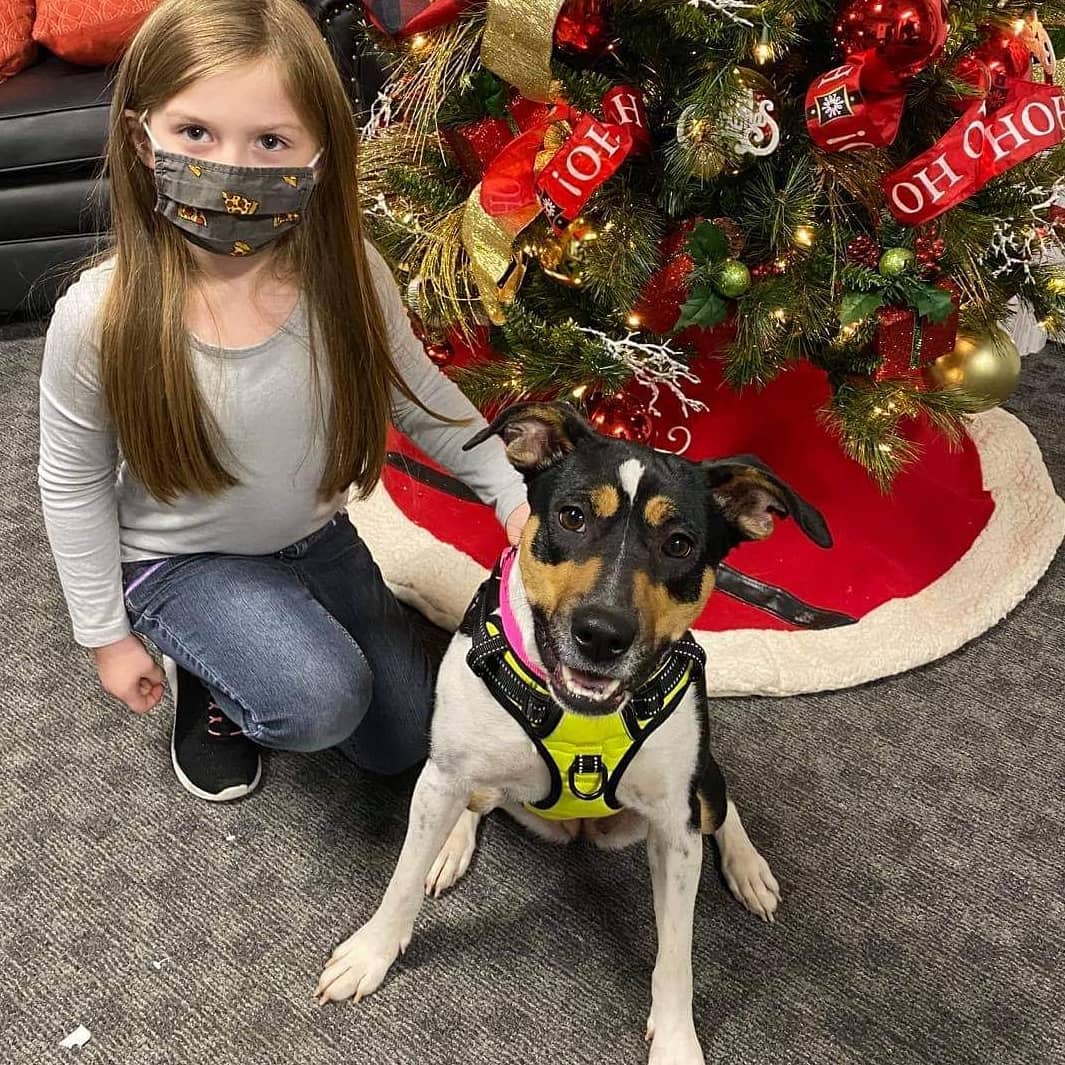 What a day we've had!!! NINE adoptions this morning!! That is NINE animals that have a home for the holidays! They will never again know hunger, loneliness, abandonment, or fear! We are so happy for these babies and their new families! (Tiger pictured with his awesome foster mom because his new mom preferred it!)
.
Thank you all for trusting us and choosing to adopt from our organization. Faces like this are why we do what we do!! Everyone is smiling, happy, and ready to get their babies home! ❤️
.
Happy Tails, kiddos!! We love you, and we can't wait to see you blossom and grow into your new roles in your families!
.
<a target='_blank' href='https://www.instagram.com/explore/tags/adoptdontshop/'>#adoptdontshop</a> <a target='_blank' href='https://www.instagram.com/explore/tags/fureverhomenc/'>#fureverhomenc</a> <a target='_blank' href='https://www.instagram.com/explore/tags/rescuedisourfavoritebreed/'>#rescuedisourfavoritebreed</a> <a target='_blank' href='https://www.instagram.com/explore/tags/rescueloverepeat/'>#rescueloverepeat</a> <a target='_blank' href='https://www.instagram.com/explore/tags/loveisafourleggedword/'>#loveisafourleggedword</a>🐾