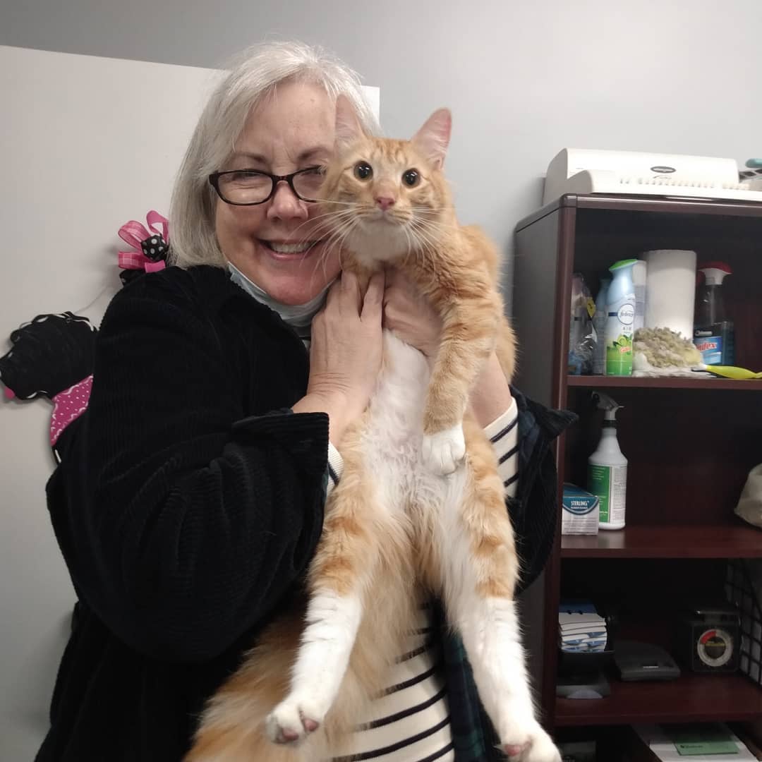 Happy Tails, AJ! We are so happy that you will get to spend Christmas in your Fur-Ever Home! We love you and will miss you! <a target='_blank' href='https://www.instagram.com/explore/tags/adoptdontshop/'>#adoptdontshop</a> <a target='_blank' href='https://www.instagram.com/explore/tags/fureverhomenc/'>#fureverhomenc</a> <a target='_blank' href='https://www.instagram.com/explore/tags/catsofinstagram/'>#catsofinstagram</a> <a target='_blank' href='https://www.instagram.com/explore/tags/rescueloverepeat/'>#rescueloverepeat</a>