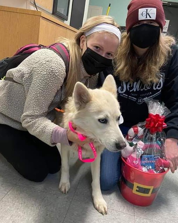 Happy holidays everyone! We hope everyone is staying safe and enjoying their holiday. Here are some cute pictures from a couple of the adoptions this week. We were so happy to see them go to their forever homes before the holiday 😁