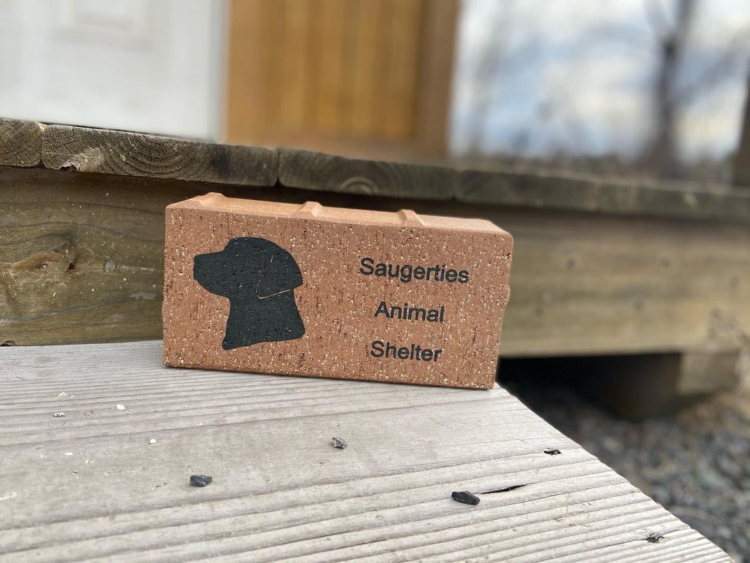 Looking for a creative gift idea or just want to help animals in your community? 

Check out the donation opportunities we have available on our website!
We have customizable bricks, like the one pictured above, along with room naming opportunities for our new building! 

Anyone interested can head to our website, saugertiesanimalshelter.com and check out the Help Fund Our New Building tab 🐾