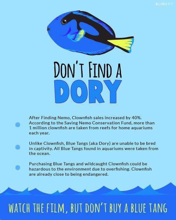 <a target='_blank' href='https://www.instagram.com/explore/tags/findingdory/'>#findingdory</a> <a target='_blank' href='https://www.instagram.com/explore/tags/findingnemo/'>#findingnemo</a> <a target='_blank' href='https://www.instagram.com/explore/tags/MakingADifferenceRescue/'>#MakingADifferenceRescue</a>