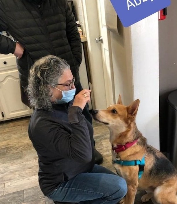 We wanted to share several happy adoption pictures from our December 5th transport. From Abigail who was adopted and returned to a kill shelter twice to sweet senior Mr Roger's, we are thrilled for all these former homeless Georgia babies☺ Thank you to everyone who has supported our mission to save Georgia dogs in need this year💖🐾🐕