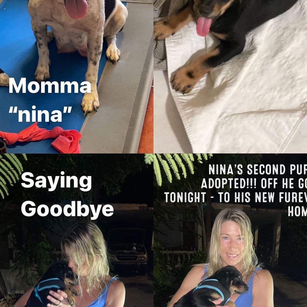 It’s always sad to say goodbye! Very happy to see them go to great homes