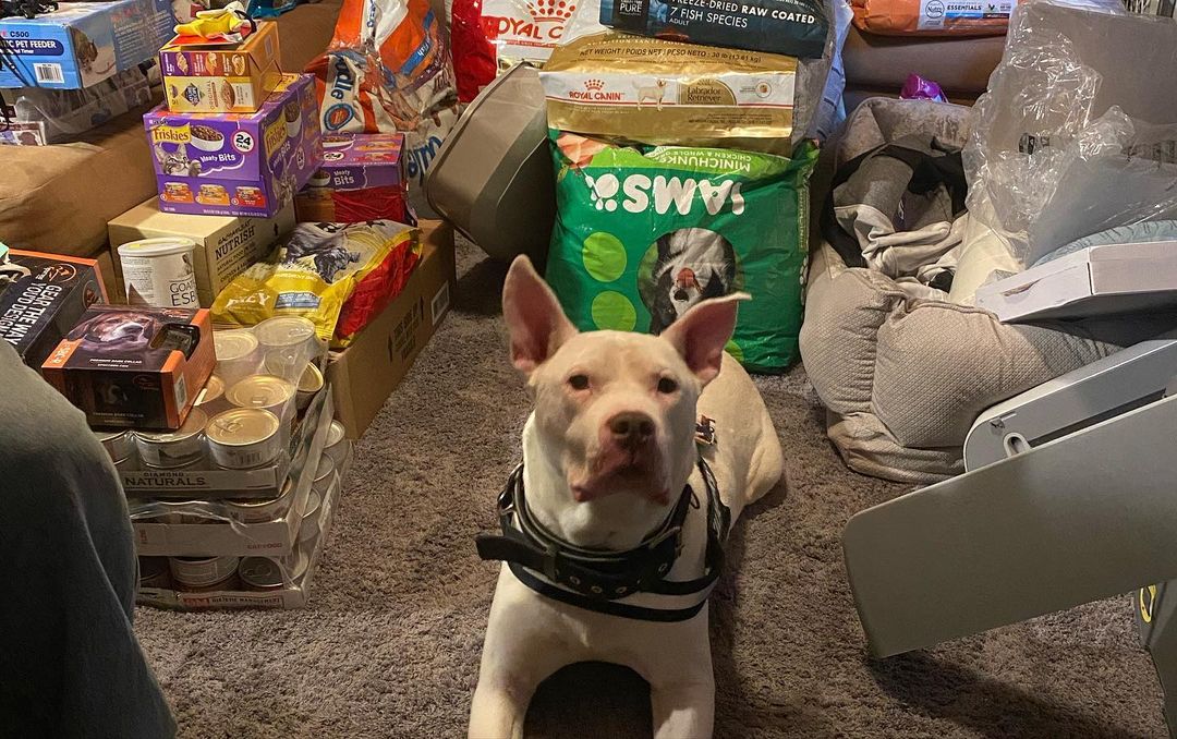 1st official rescue pet food donation program pick up in NC on behalf of greater good and the animal rescue site (2020) 
<a target='_blank' href='https://www.instagram.com/explore/tags/nonprofitsupport/'>#nonprofitsupport</a> <a target='_blank' href='https://www.instagram.com/explore/tags/rescuesofinstagram/'>#rescuesofinstagram</a> <a target='_blank' href='https://www.instagram.com/explore/tags/mmffrescue/'>#mmffrescue</a>