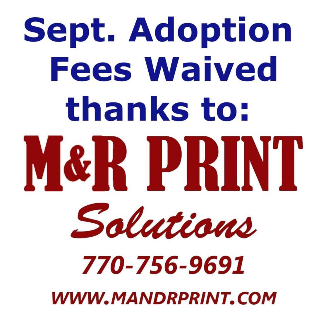 That's right ALL adoption fees are still being waived! This month's adoptions will be covered by M&R Print Solutions. Thank you to all that adopt and help support our adoptions! <a target='_blank' href='https://www.instagram.com/explore/tags/adoptdontshop/'>#adoptdontshop</a> <a target='_blank' href='https://www.instagram.com/explore/tags/kindessmatters/'>#kindessmatters</a> <a target='_blank' href='https://www.instagram.com/explore/tags/payitforward/'>#payitforward</a>