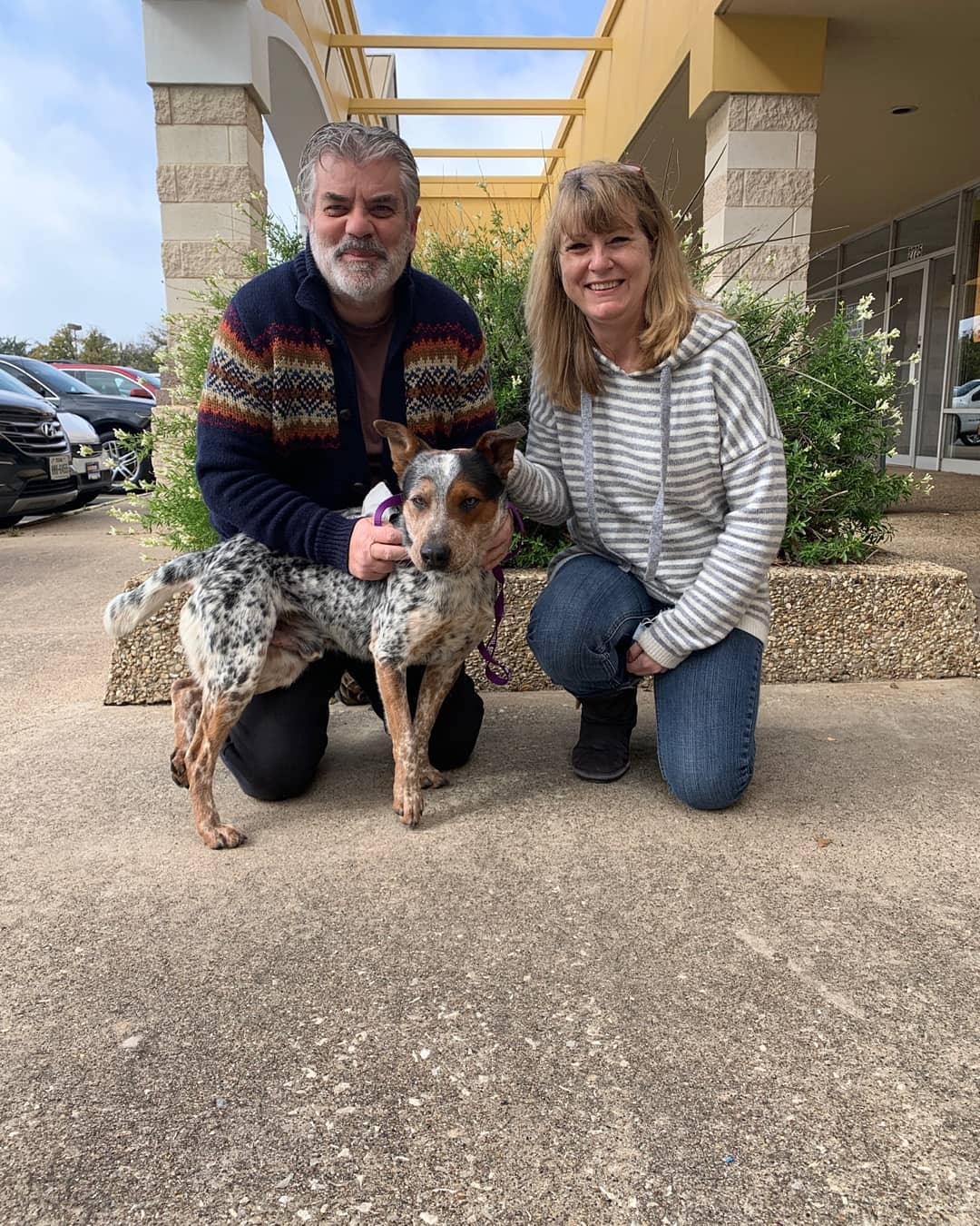 Beautiful Ned went home today
Thanks for adopting our handsome boy 
<a target='_blank' href='https://www.instagram.com/explore/tags/S2RFamily/'>#S2RFamily</a>