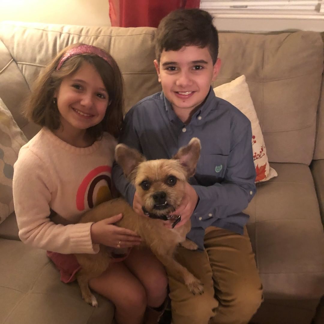 Time for another <a target='_blank' href='https://www.instagram.com/explore/tags/PSDHappyTails/'>#PSDHappyTails</a> Weekend PUPdate!!! 🐶💗🐾

Our featured pup this week is Chewie (formerly Einstein, 2020 rescue)! ❤️
.
Here's what Chewie’s forever family has to say:

“Chewie has been such a great addition to our family. He’s a lovable companion who just wants to be given affection. He loves his belly rubs! Chewie has quite a talent. He can leap and jump over just about anything...including a gate used to try to contain him in an area of the house when we’re out. He really is the best! Even when he escapes his containment, he causes no trouble. Our family has found the perfect match! We’re so lucky to have found him!”

🥰🐶🥰🐶🥰🐶
.
.
We love hearing from our forever families! Be sure to tell us about your pup at bit.ly/PSDHappyTails and follow along with these stories by following <a target='_blank' href='https://www.instagram.com/explore/tags/PSDHappyTails/'>#PSDHappyTails</a> 
🇵🇷❤️🐶
.
<a target='_blank' href='https://www.instagram.com/explore/tags/adoptdontshop/'>#adoptdontshop</a> <a target='_blank' href='https://www.instagram.com/explore/tags/rescuedismyfavoritebreed/'>#rescuedismyfavoritebreed</a> <a target='_blank' href='https://www.instagram.com/explore/tags/puntasantiagodogs/'>#puntasantiagodogs</a>
<a target='_blank' href='https://www.instagram.com/explore/tags/dogrescue/'>#dogrescue</a>