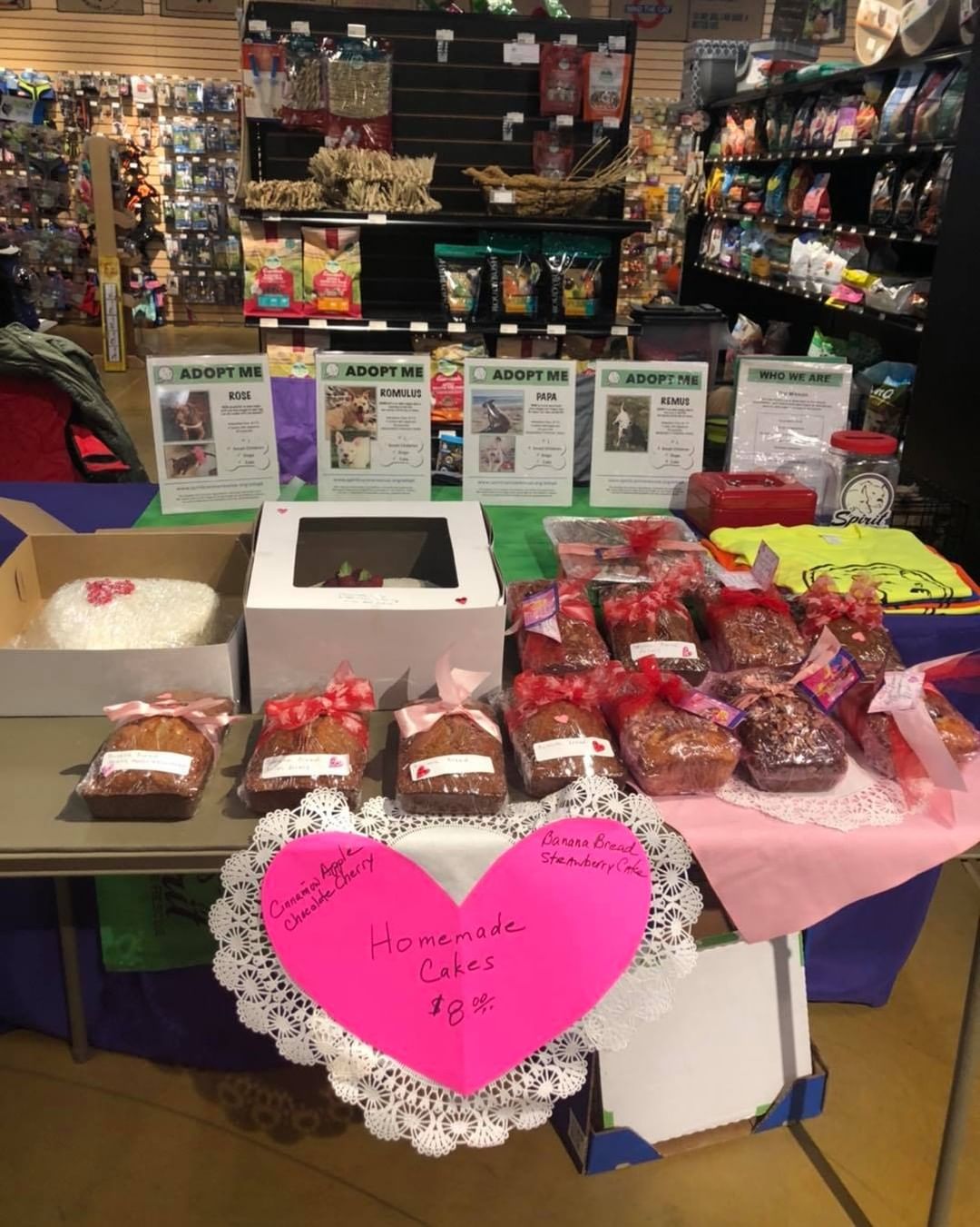 Happy Valentine’s Day! We are at All Pets Consider today! 
Come out and meet our pups and grab a delicious cake!!