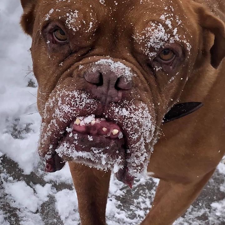 Happy 9th Birthday to DDDR alumni Oliver.