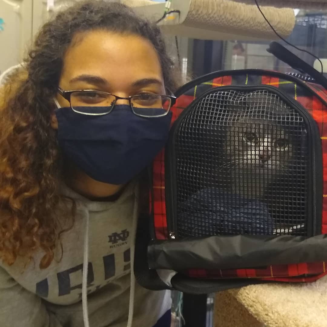 Congratulations RooBee! Sweet senior RooBee lost her home when her dad went into assisted living and couldn't take her with him. We are so thankful her new mom knows at only 12 years old, Miss RooBee still has lots of love to give. <a target='_blank' href='https://www.instagram.com/explore/tags/seniorcatsrock/'>#seniorcatsrock</a> <a target='_blank' href='https://www.instagram.com/explore/tags/happygotchaday/'>#happygotchaday</a> <a target='_blank' href='https://www.instagram.com/explore/tags/adoptdontshop/'>#adoptdontshop</a>🐾 <a target='_blank' href='https://www.instagram.com/explore/tags/trentoncats/'>#trentoncats</a> <a target='_blank' href='https://www.instagram.com/explore/tags/trentoncatsrescue/'>#trentoncatsrescue</a> <a target='_blank' href='https://www.instagram.com/explore/tags/rescuedismyfavoritebreed/'>#rescuedismyfavoritebreed</a>