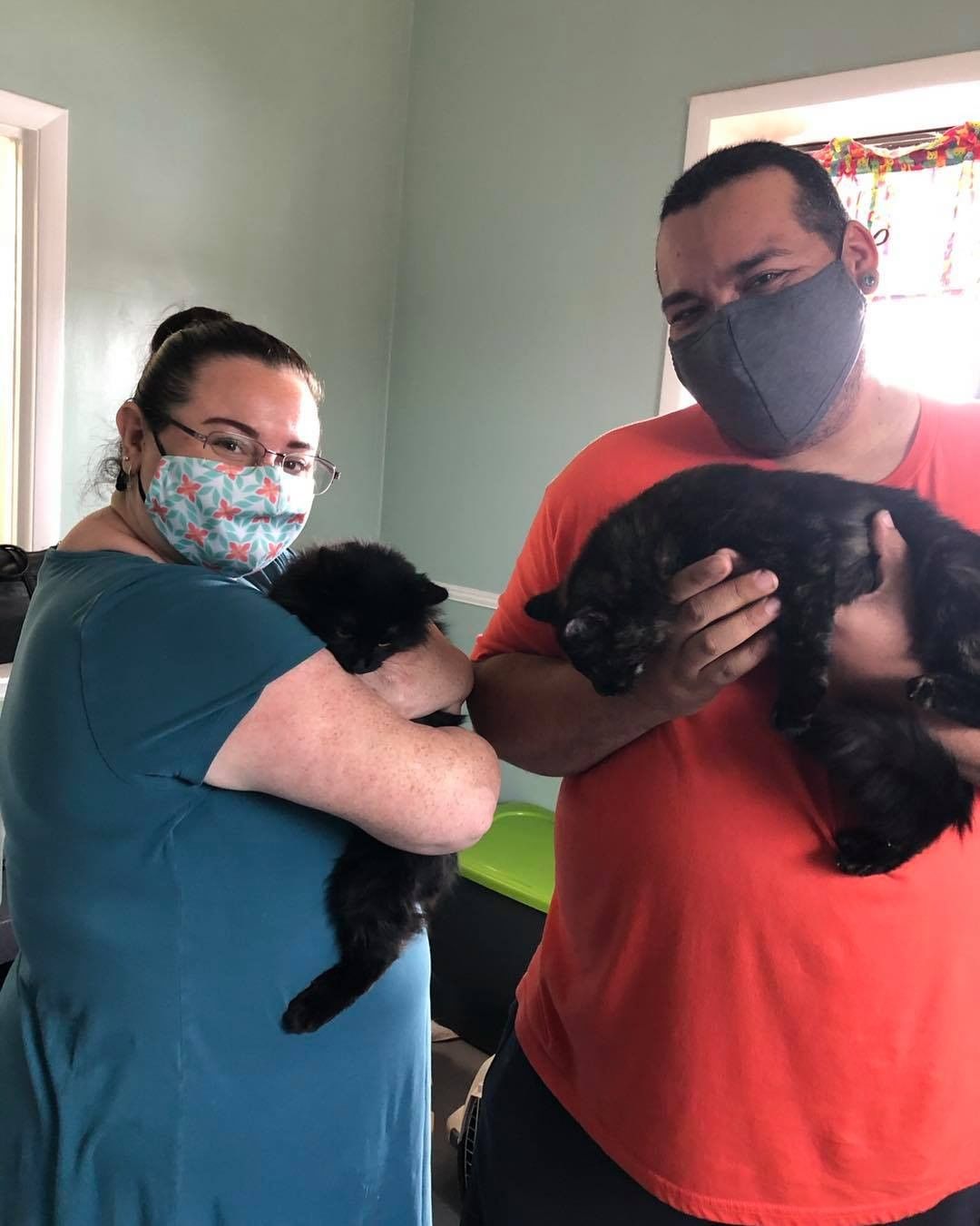 These two refused to look for their adoption pics so I included the last pics I snapped of them for their family as they waited for the day they could actually get them. 

My (Caitlin) sweet fosters Garland and Harvest found their purrrfect family this past weekend.