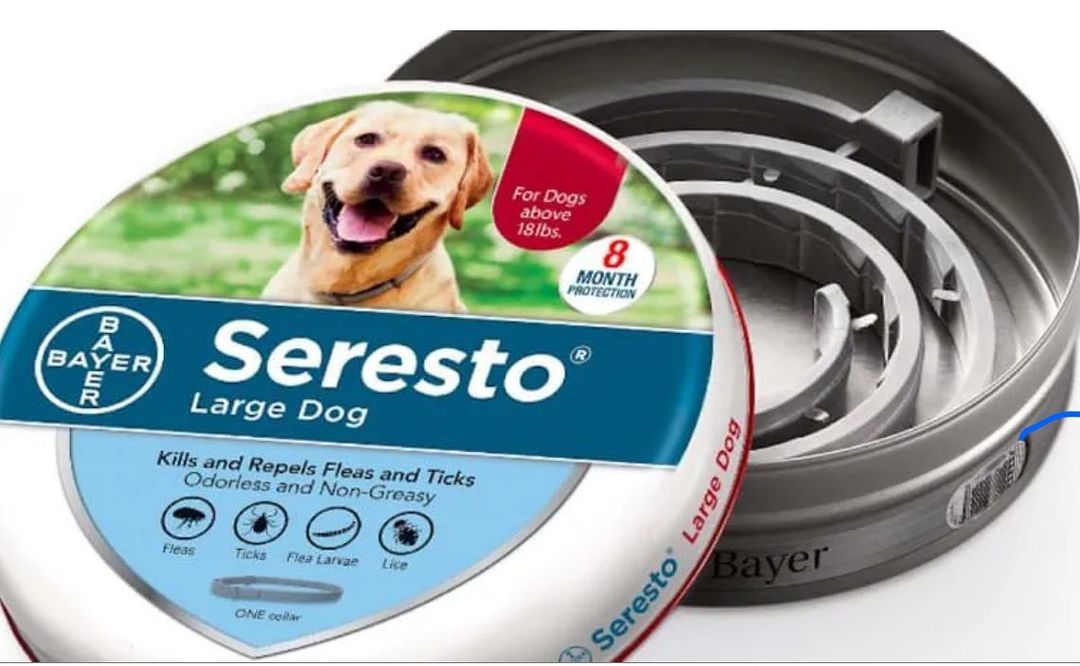 ❗️Please Read❗️
According to USA Today, about 1,700 pets have died due to the use of popular flea collars. 

Specifically the flea collar brand, Bayers Seresto, caused the death of a 9 year old papillon service dog named Pierre. One day, while wearing the flea collar, Pierre suddenly collapsed and had a seizure that caused him to stop breathing. Extreme efforts were made to try and save him, but it was too late and he passed away. ❤️😢

Unfortunately Pierre is not the only pet that has lost his life due to these collars as about 1,700 reports of pet related deaths were linked to flea collars. The EPA has not informed the public about the potential risks associated with the products which extremely harmful, as owners are not aware of the dangers their pets could be in. 

Please be careful when purchasing flea products, and make sure to research any side effects and read possible reviews before potentially putting your pet at risk! ❤️

The full article can be found through the link in our bio!

<a target='_blank' href='https://www.instagram.com/explore/tags/bichonandbuddiesrescue/'>#bichonandbuddiesrescue</a> <a target='_blank' href='https://www.instagram.com/explore/tags/petsafety/'>#petsafety</a> <a target='_blank' href='https://www.instagram.com/explore/tags/research/'>#research</a> <a target='_blank' href='https://www.instagram.com/explore/tags/adoptdontshop/'>#adoptdontshop</a>