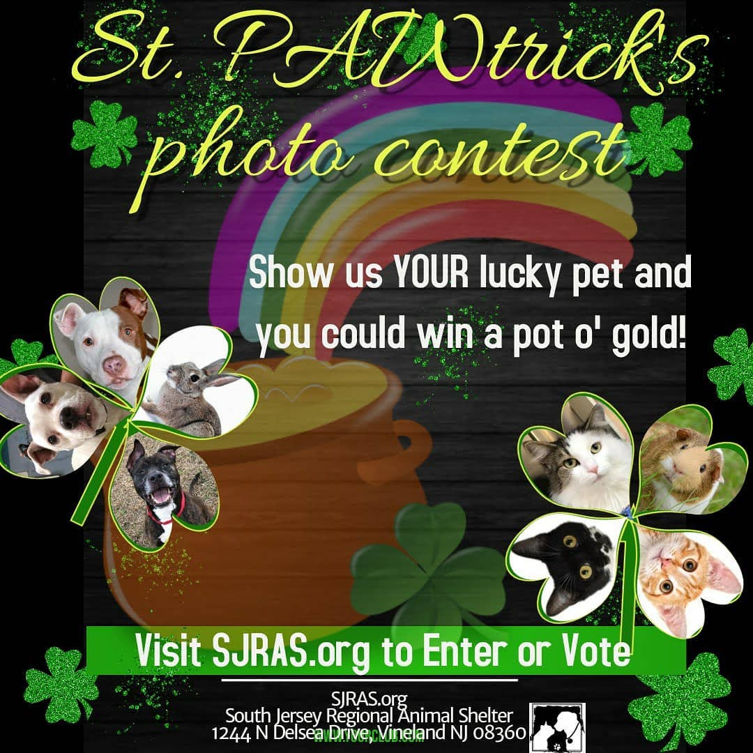 Who doesn't 💜 a photo contest!? Help us celebrate 🍀 St.PAWtrick's🍀 by showing us the luckiest pets around - YOURS!  Free to enter & free to vote means you can win a 🌈💰 pot o' gold or help us to decide who does! Visit SJRAS.org to challenge these first 3 contestants or vote for your fav. All types of pets are welcome to try their luck. What are you waiting for!? <a target='_blank' href='https://www.instagram.com/explore/tags/photography/'>#photography</a> <a target='_blank' href='https://www.instagram.com/explore/tags/photocontest/'>#photocontest</a> <a target='_blank' href='https://www.instagram.com/explore/tags/petsofinstagram/'>#petsofinstagram</a> <a target='_blank' href='https://www.instagram.com/explore/tags/petsofnj/'>#petsofnj</a> <a target='_blank' href='https://www.instagram.com/explore/tags/rescuepets/'>#rescuepets</a> <a target='_blank' href='https://www.instagram.com/explore/tags/luckycharms/'>#luckycharms</a> <a target='_blank' href='https://www.instagram.com/explore/tags/prizes/'>#prizes</a> <a target='_blank' href='https://www.instagram.com/explore/tags/donthavetobeirishtocelebrate/'>#donthavetobeirishtocelebrate</a> <a target='_blank' href='https://www.instagram.com/explore/tags/stpawtricks/'>#stpawtricks</a> <a target='_blank' href='https://www.instagram.com/explore/tags/SJRAS/'>#SJRAS</a> <a target='_blank' href='https://www.instagram.com/explore/tags/freetoenter/'>#freetoenter</a> <a target='_blank' href='https://www.instagram.com/explore/tags/atleastvote/'>#atleastvote</a>