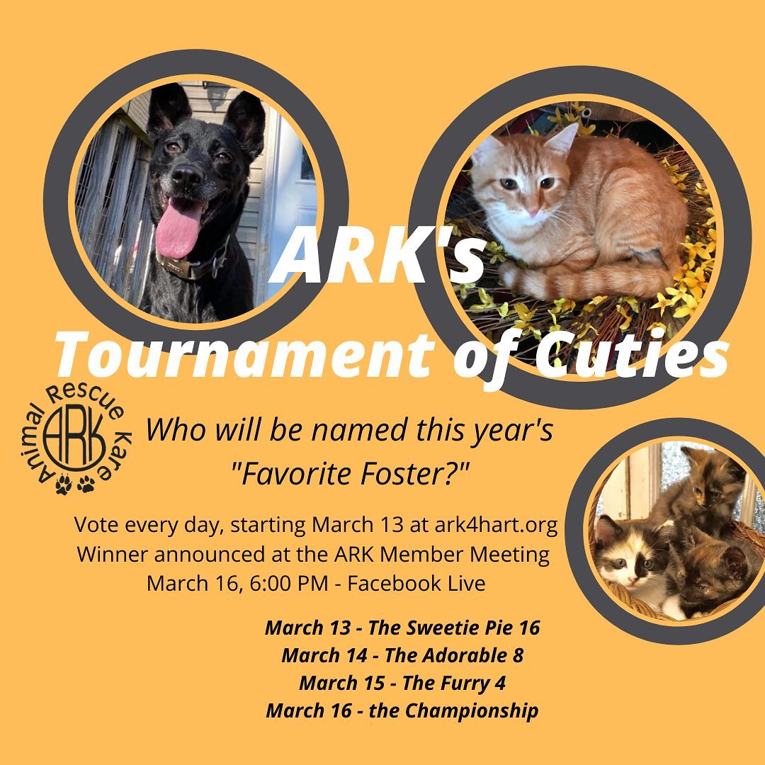 As part of ARK's annual member's meeting, we will host 

➡️ The Tournament of Cuties! 🐾

Vote for your favorites on ARK's website, starting on March 13.  The fur will be flying as the competitors vie for the championship! 

Winner announced at ARK annual meeting - Facebook Live on March 16, 6:00 PM, ARK for Hart FB page.

➡️ https://www.facebook.com/ARKies4Hart/

<a target='_blank' href='https://www.instagram.com/explore/tags/tournamentofcuties/'>#tournamentofcuties</a> <a target='_blank' href='https://www.instagram.com/explore/tags/ark4hart/'>#ark4hart</a> <a target='_blank' href='https://www.instagram.com/explore/tags/govote/'>#govote</a>